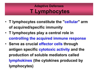 Adaptive Defenses
T Lymphocytes
• T lymphocytes constitute the "cellular" arm
of acquired/specific immunity
• T lymphocytes play a central role in
controlling the acquired immune response
• Serve as crucial effector cells through
antigen specific cytotoxic activity and the
production of soluble mediators called
lymphokines (the cytokines produced by
lymphocytes)
 