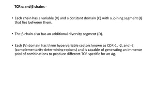 Hypervariable Segment T –CELLS AND T-REGULATORY CELLxxxxxxxxxxxxxxxxxxxxS.pptx