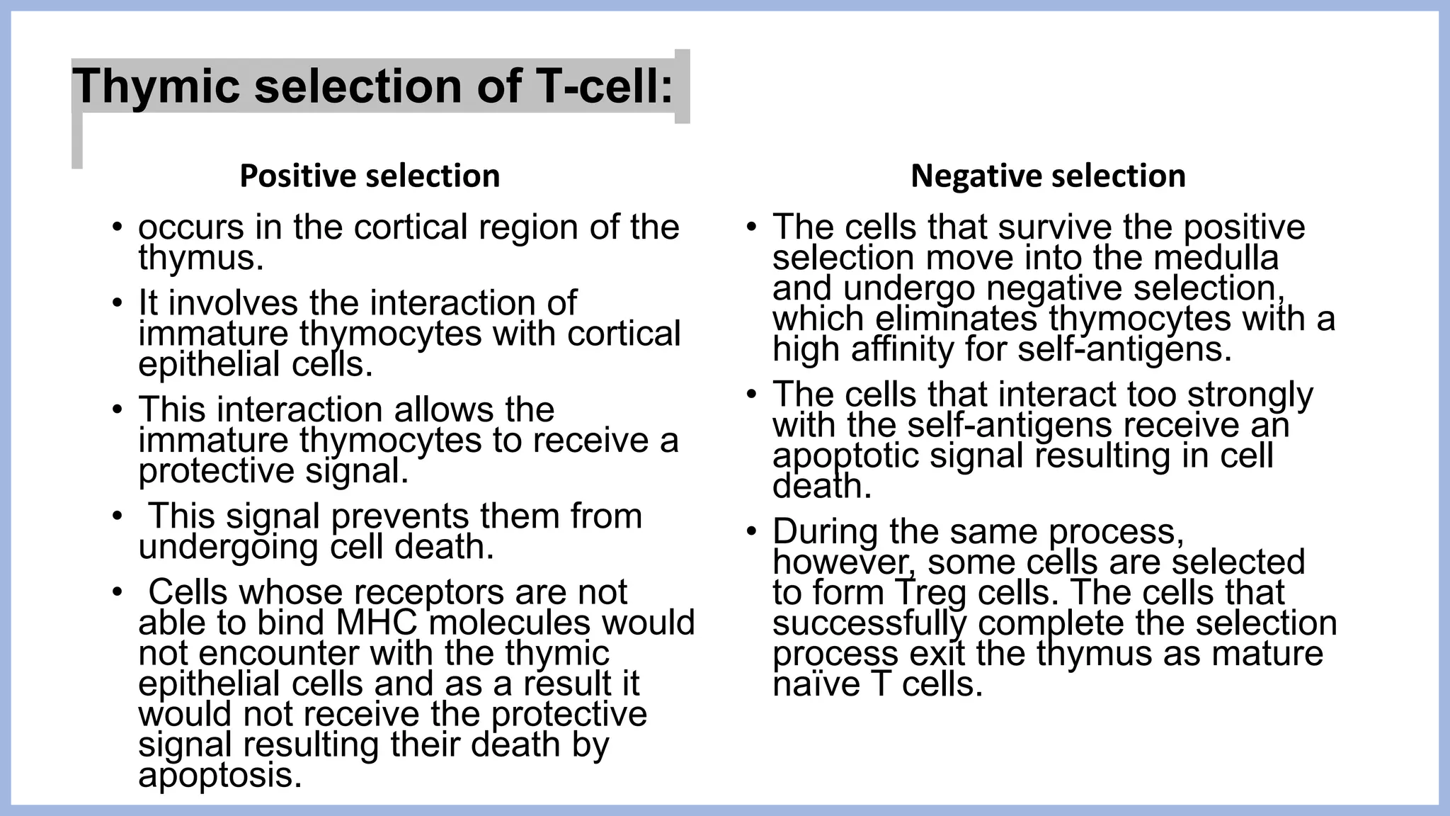 Thymic selection of T-cell:
Positive selection
• occurs in the cortical region of the
thymus.
• It involves the interaction of
immature thymocytes with cortical
epithelial cells.
• This interaction allows the
immature thymocytes to receive a
protective signal.
• This signal prevents them from
undergoing cell death.
• Cells whose receptors are not
able to bind MHC molecules would
not encounter with the thymic
epithelial cells and as a result it
would not receive the protective
signal resulting their death by
apoptosis.
Negative selection
• The cells that survive the positive
selection move into the medulla
and undergo negative selection,
which eliminates thymocytes with a
high affinity for self-antigens.
• The cells that interact too strongly
with the self-antigens receive an
apoptotic signal resulting in cell
death.
• During the same process,
however, some cells are selected
to form Treg cells. The cells that
successfully complete the selection
process exit the thymus as mature
naïve T cells.
 
