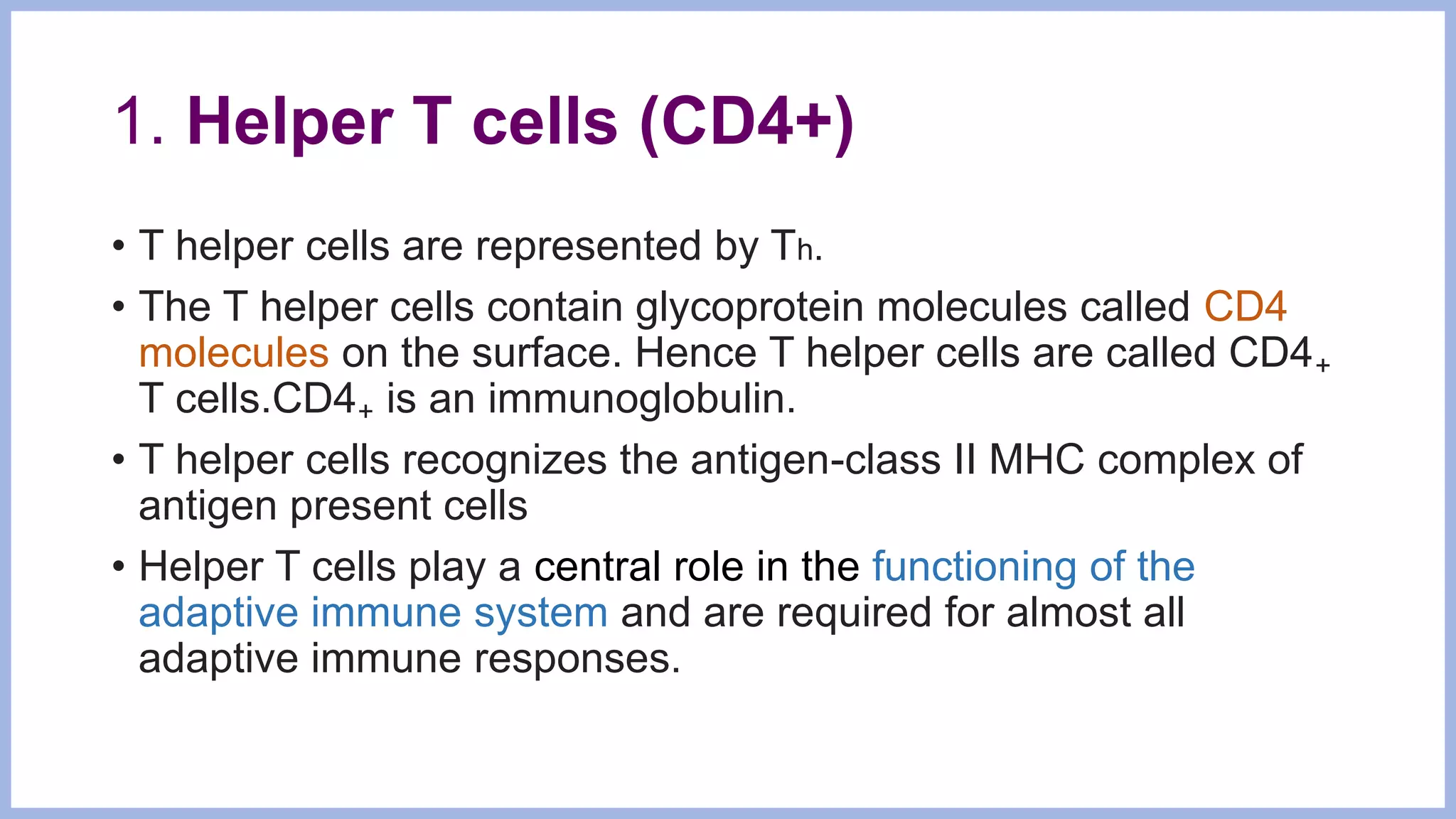 1. Helper T cells (CD4+)
• T helper cells are represented by Th.
• The T helper cells contain glycoprotein molecules called CD4
molecules on the surface. Hence T helper cells are called CD4₊
T cells.CD4₊ is an immunoglobulin.
• T helper cells recognizes the antigen-class II MHC complex of
antigen present cells
• Helper T cells play a central role in the functioning of the
adaptive immune system and are required for almost all
adaptive immune responses.
 