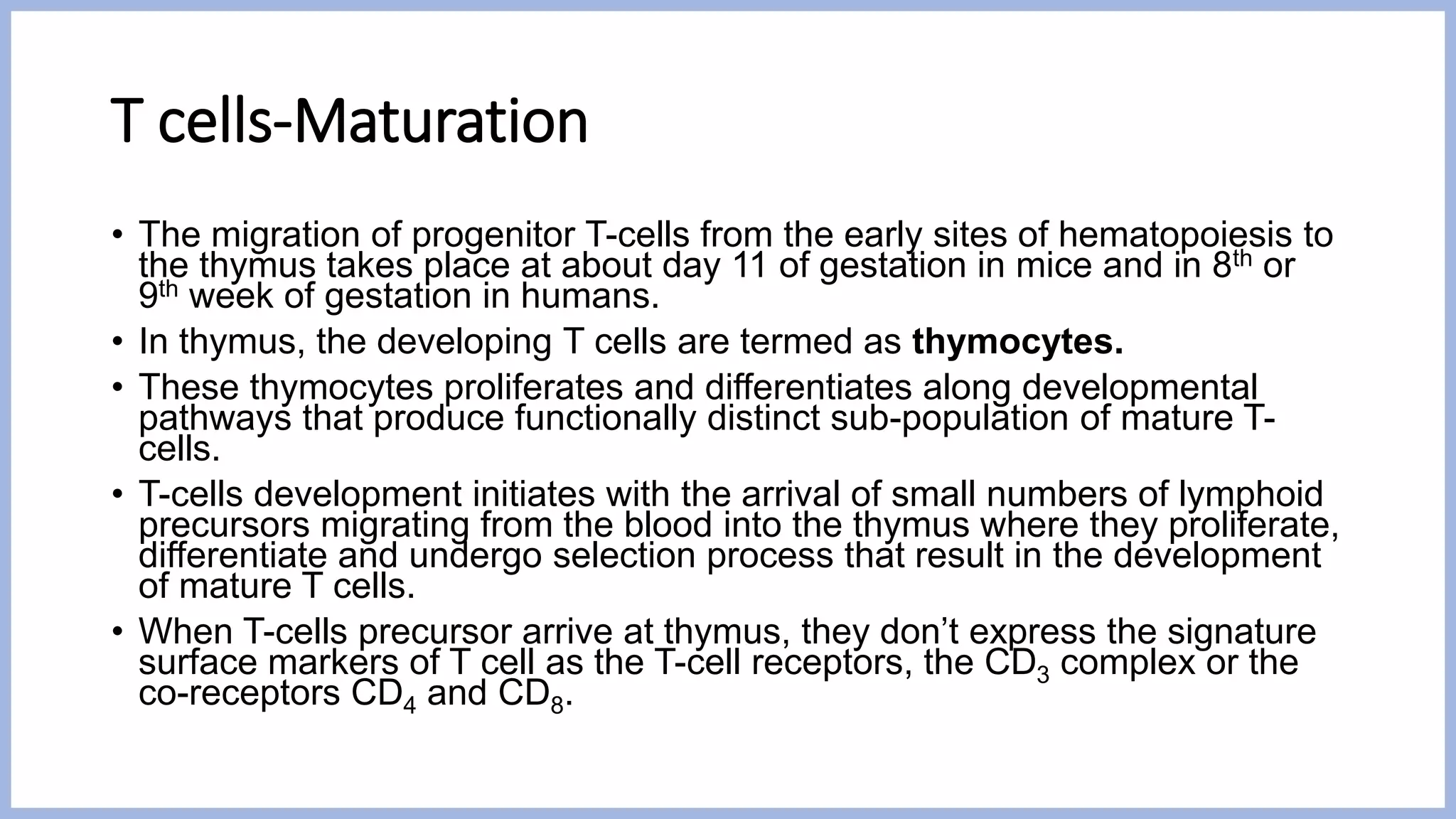 T cells-Maturation
• The migration of progenitor T-cells from the early sites of hematopoiesis to
the thymus takes place at about day 11 of gestation in mice and in 8th or
9th week of gestation in humans.
• In thymus, the developing T cells are termed as thymocytes.
• These thymocytes proliferates and differentiates along developmental
pathways that produce functionally distinct sub-population of mature T-
cells.
• T-cells development initiates with the arrival of small numbers of lymphoid
precursors migrating from the blood into the thymus where they proliferate,
differentiate and undergo selection process that result in the development
of mature T cells.
• When T-cells precursor arrive at thymus, they don’t express the signature
surface markers of T cell as the T-cell receptors, the CD3 complex or the
co-receptors CD4 and CD8.
 