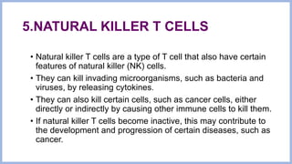 5.NATURAL KILLER T CELLS
• Natural killer T cells are a type of T cell that also have certain
features of natural killer (NK) cells.
• They can kill invading microorganisms, such as bacteria and
viruses, by releasing cytokines.
• They can also kill certain cells, such as cancer cells, either
directly or indirectly by causing other immune cells to kill them.
• If natural killer T cells become inactive, this may contribute to
the development and progression of certain diseases, such as
cancer.
 