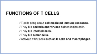 FUNCTIONS OF T CELLS
T cells bring about cell mediated immune response.
They kill bacteria and viruses hidden inside cells.
They kill infected cells.
They kill tumor cells.
Activate other cells such as B cells and macrophages.
 