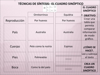 7 TÉCNICAS DE SÍNTESIS:  EL CUADRO SINÓPTICO EL CUADRO SINÓPTICO Ornitorrinco Equidna   *  OBJETIVO: Reproducción Por huevos Por huevos Crear una tabla que permita comparar información de modo gráfico. País Australia Australia Cuerpo Pelo como la nutria Espinas   ¿CÓMO SE HACE?. Pies Palmeadas :::::::::::::::::::::::::::::::::::::::::: Lee y subraya el texto   Boca Como la del pato ::::::::::::::::::::::::::::::::::::::::::: CREA UN CUADRO  SINÓPTICO 