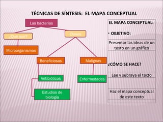 Las bacterias ¿Qué son? Clases Beneficiosas Antibióticos Estudios de biología Microorganismos Malignas Enfermedades Las bacterias ¿Qué son? Clases Microorganismos Beneficiosas Antibióticos Estudios de biología Malignas Enfermedades TÉCNICAS DE SÍNTESIS:  EL MAPA CONCEPTUAL EL MAPA CONCEPTUAL:    *  OBJETIVO:   Presentar las ideas de un texto en un gráfico     ¿CÓMO SE HACE?   Lee y subraya el texto     Haz el mapa conceptual de este texto   