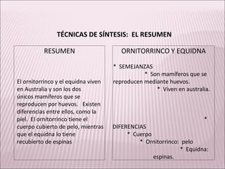 TÉCNICAS DE SÍNTESIS:  EL RESUMEN RESUMEN ORNITORRINCO Y EQUIDNA     El ornitorrinco y el equidna viven  en Australia y son los dos  únicos mamíferos que se  reproducen por huevos.  Existen  diferencias entre ellos, como la  piel.  El ornitorrinco tiene el  cuerpo cubierto de pelo, mientras  que el equidna lo tiene  recubierto de espinas *  SEMEJANZAS  *  Son mamíferos que se reproducen mediante huevos.  *  Viven en australia.  *  DIFERENCIAS  *  Cuerpo  *  Ornitorrinco:  pelo  *  Equidna:  espinas. 
