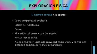 El examen general nos aporta:
• Datos de gravedad evolutiva.
• Estado de hidratación.
• Fiebre.
• Alteración del pulso y tensión arterial.
• Actitud del paciente.
• Pueden aparecer signos de gravedad como shock y sepsis (íleo
mecánico complicado y, más tardíamente).
EXPLORACIÓN FÍSICA
 