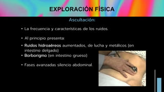 Ascultación:
• La frecuencia y características de los ruidos.
• Al principio presenta:
• Ruidos hidroaéreos aumentados, de lucha y metálicos (en
intestino delgado)
• Borborigmo (en intestino grueso)
• Fases avanzadas silencio abdominal.
EXPLORACIÓN FÍSICA
 