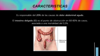 Es responsable del 20% de las causas de dolor abdominal agudo.
El intestino delgado (ID) es el punto de obstrucción en 60-80% de casos;
asociada a una mortalidad del 5,5%.
CARACTERISTICAS
 