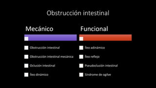 Obstrucción intestinal
Mecánico
Obstrucción intestinal
Obstrucción intestinal mecánica
Oclusión intestinal
Íleo dinámico
Funcional
Íleo adinámico
Íleo reflejo
Pseudoclusión intestinal
Síndrome de ogilve
 