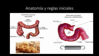 Anatomía y reglas iniciales
 