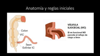 Anatomía y reglas iniciales
 