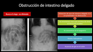 Obstrucción de intestino delgado
Ausencia de gas en el colón
Niveles hidroaéreos
Se concentran en el epigastrio
Se amontonan unas asas encimas de otras
en forma de escalera
Dilatación de asas de intestino delgado >2.5
cm proximales a la obstrucción
Busca el ciego no dilatado
 