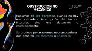 TU LOGO
AQUÍ
Hablamos de íleo paralítico, cuando no hay
una verdadera interrupción del tránsito
intestinal, sino una detención o
enlentecimiento.
Se produce por trastornos neuromusculares
que generan íleo dinámico o adinámico.
 