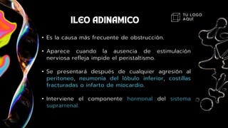 TU LOGO
AQUÍ
• Es la causa más frecuente de obstrucción.
• Aparece cuando la ausencia de estimulación
nerviosa refleja impide el peristaltismo.
• Se presentará después de cualquier agresión al
peritoneo, neumonía del lóbulo inferior, costillas
fracturadas o infarto de miocardio.
• Interviene el componente hormonal del sistema
suprarrenal.
 