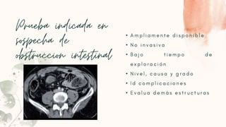 •
•
•
•
•
•
 