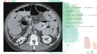 • ¿
• ¿
• ¿
• ¿
 