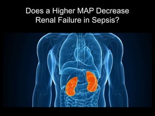 Does a Higher MAP Decrease
Renal Failure in Sepsis?
 