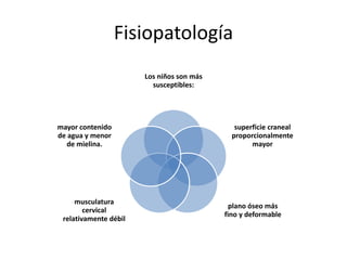 Fisiopatología
Los niños son más
susceptibles:
superficie craneal
proporcionalmente
mayor
plano óseo más
fino y deformable
musculatura
cervical
relativamente débil
mayor contenido
de agua y menor
de mielina.
 