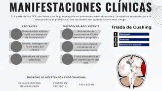 MANIFESTACIONES CLÍNICAS
3/4 parte de los TCE son leves y en la gran mayoría no presentan manifestaciones. La edad es relevante para la
evaluación y el pronóstico. Los lactantes son quienes tienen más riesgo.
LACTANTES
Presentación atípica
y sutil con ausencia
de focalización
Emesis, hallazgos de
fx de base del
cráneo
Hematoma de cuero
cabelludo
PREESCOLAR-ADOLESCENTE
Alteración de
consciencia >5 min
deterioro progresivo
Crisis convulsivas,
focalización o
compromiso hemo.
Crisis diencefálicas
por estimulación del
SNA.
CEFALEA INTENSA
GENERALIZADA
VÓMITO EN
PROYECTIL
PAPILEDEMA
SÍNDROME DE HIPERTENSIÓN ENDOCRANEANA
 