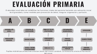 EVALUACIÓN PRIMARIA
El abordaje inical debe ser estabilizar las funciones vitales del paciente haciendo una valoración inicial
de la gravedad y tomar medidas para prevención de daños. Asegurar oxigenación y perfusión.
A B C D
ASEGURA VÍA
AEREA
PROTECCIÓN
CERVICAL
EFICACIA DE
VENTILACIÓN
AUSCULTACIÓN
SATO2 Y RITMO
RESPIRATORIO
TOMA DE PULSO
(PALPACIÓN)
COMPROBAR
LLENADO C.
TOMA DE T/A
EXPLORACIÓN
NEUROLÓGICA
PUNTAJE
GLASGOW
COMPORTAMIENTO
PUPILAR
E
EXPOSICIÓN
EXAMEN FÍSICO
CONTROL
AMBIENTAL
Pupilas midriáticas arreactivas orientan lesión del tronco cerebral. La Anisocoria orienta la herniación
del uncus.
 