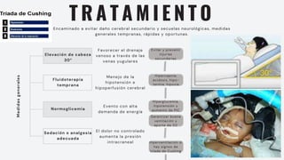 T R A T A M I E N T O
Encaminado a evitar daño cerebral secundario y secuelas neurológicas, medidas
generales tempranas, rápidas y oportunas.
Elevación de cabeza
30°
Fluidoterapia
temprana
Normoglicemia
Sedación o analgesia
adecuada
Medidas
generales
El dolor no controlado
aumenta la presión
intracraneal
Evento con alta
demanda de energía
Menejo de la
hipotensión e
hipoperfusión cerebral
Favorecer el drenaje
venoso a través de las
venas yugulares
Evitar y prevenir
injurias
secundarias
Hipercapnia,
acidosis, hipo-
termia, hipoxia
Hiperglucemia,
hipotensión y
aumento de PIC
Garantizar buena
ventilación y
aporte de O2
Hiperventilación si
hay signos de
tríada de Cushing
 