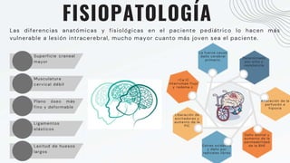FISIOPATOLOGÍA
Las diferencias anatómicas y fisiológicas en el paciente pediátrico lo hacen más
vulnerable a lesión intracerebral, mucho mayor cuanto más joven sea el paciente.
Superficie craneal
mayor
Musculatura
cervical débil
Plano óseo más
fino y deformable
Ligamentos
elásticos
Laxitud de huesos
largos
La fuerza causa
daño cerebral
primario.
Determinado
por sitio y
resistencia
Alteración de la
perfusión e
hipoxia
Daño axonal y
aumento de la
permeabilidad
de la BHE
Estrés oxidativo
y daño por
radicales libres
Liberación de
excitadores y
aumento de la
PIC
>Ca IC
interrumpe flujo
y >edema c.
 