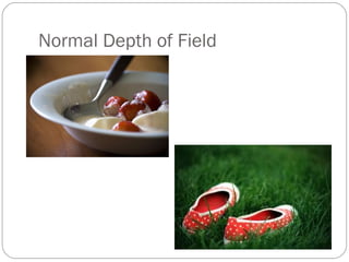 Normal Depth of Field 
 