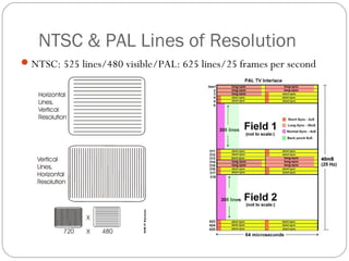 NTSC & PAL Lines of Resolution 
NTSC: 525 lines/480 visible/PAL: 625 lines/25 frames per second 
 