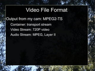 Cinelerra example Oil painting effect http://www.youtube.com/watch?v=46C-HJUlOyY 