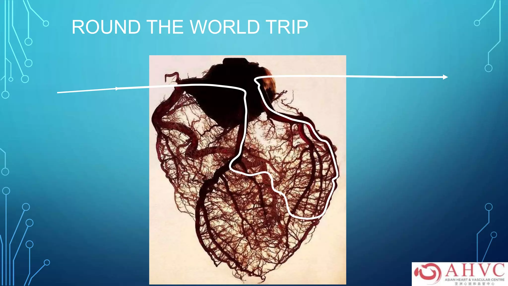 ROUND THE WORLD TRIP
 