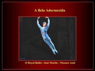 O Royal Ballet - José Martin – Pássaro Azul A Bela Adormecida   