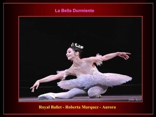 La Bella Durmiente




Royal Ballet - Roberta Marquez - Aurora
 