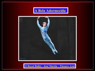 A Bela Adormecida




O Royal Ballet - José Martin – Pássaro Azul
 