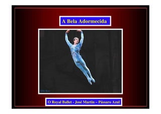 A Bela Adormecida




O Royal Ballet - José Martin – Pássaro Azul
 