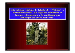 Esta belíssima Sinfonia de Tchaikovsky – “Patética” – é
  intensamente movida por flagrantes sentimentos de
     lamento e desesperança, e foi considerada uma
          homenagem aos amores de sua vida...
 
