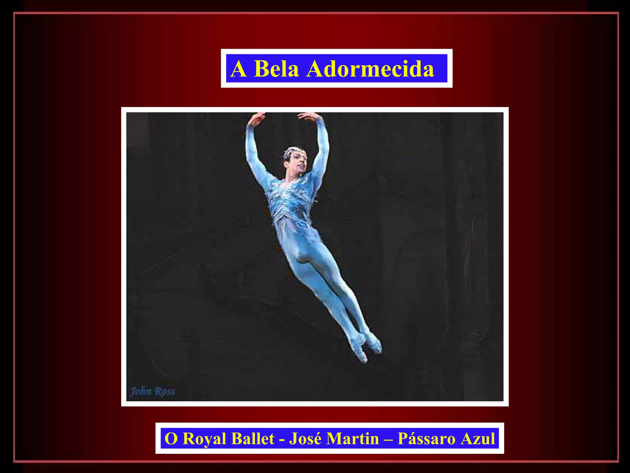 O Royal Ballet - José Martin – Pássaro Azul A Bela Adormecida   