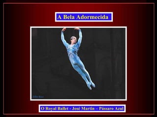 O Royal Ballet - José Martin – Pássaro Azul A Bela Adormecida   