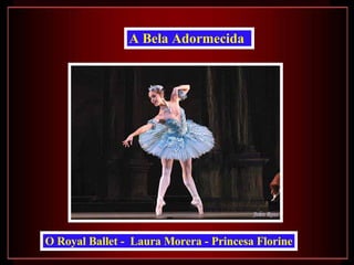 O Royal Ballet -  Laura Morera - Princesa Florine A Bela Adormecida   