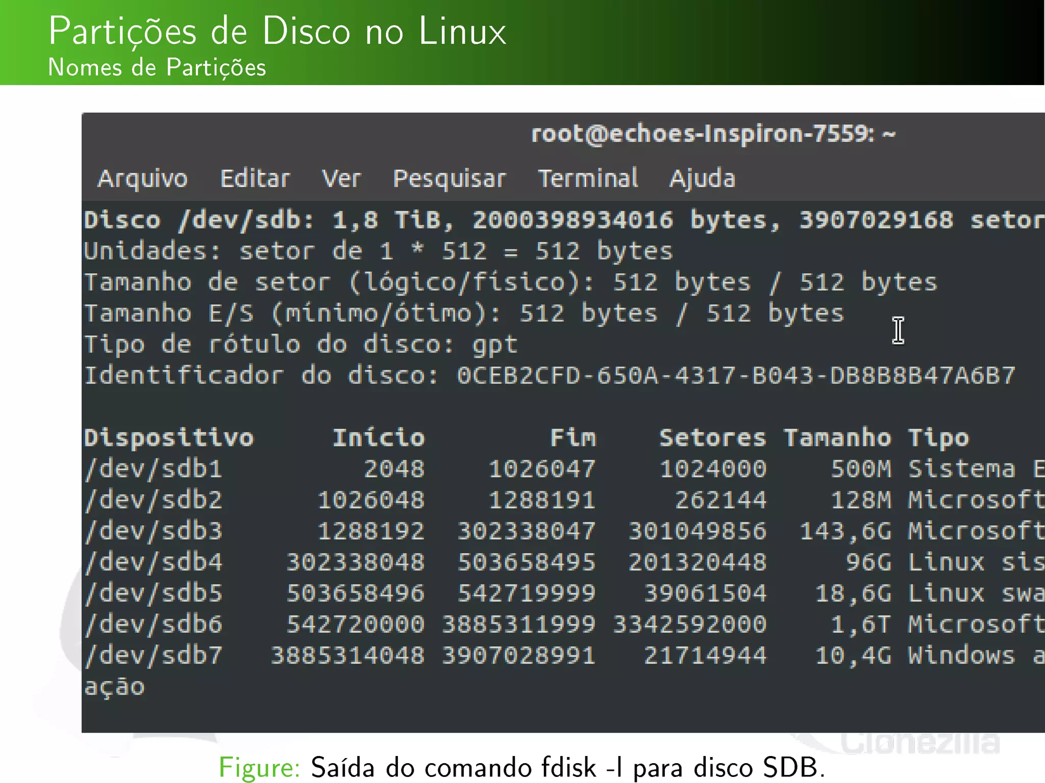 Partições de Disco no Linux
Nomes de Partições
Figure: Saída do comando fdisk -l para disco SDB.
 
