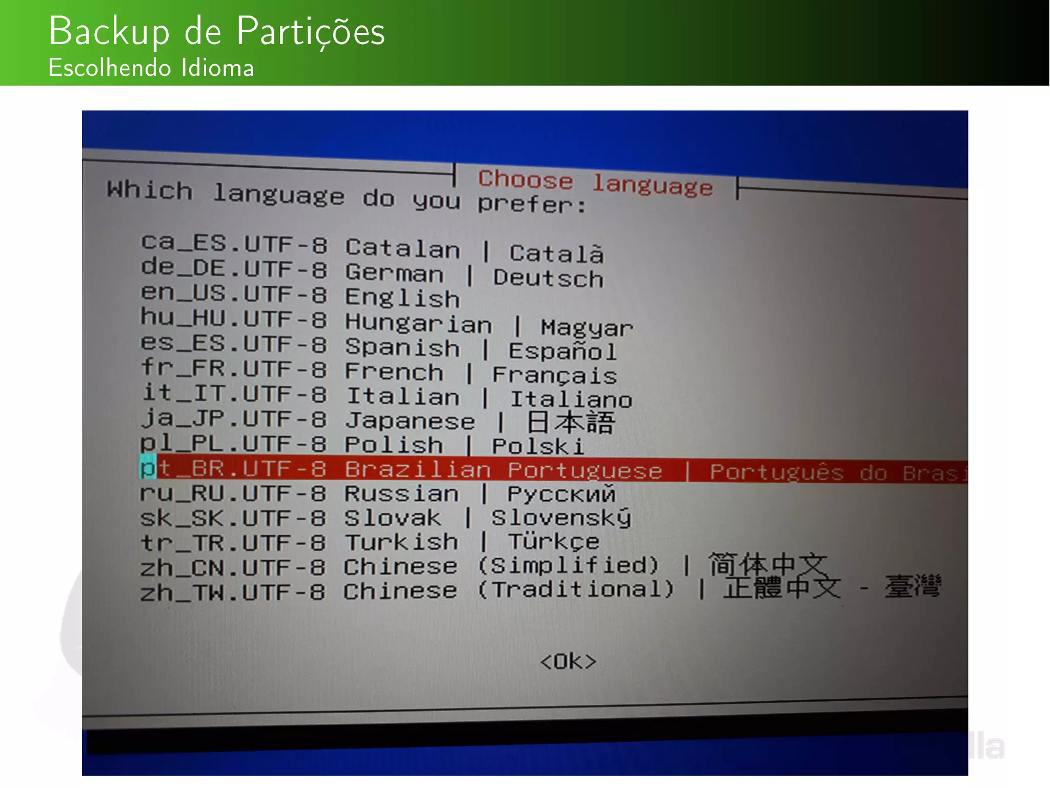 Backup de Partições
Escolhendo Idioma
 