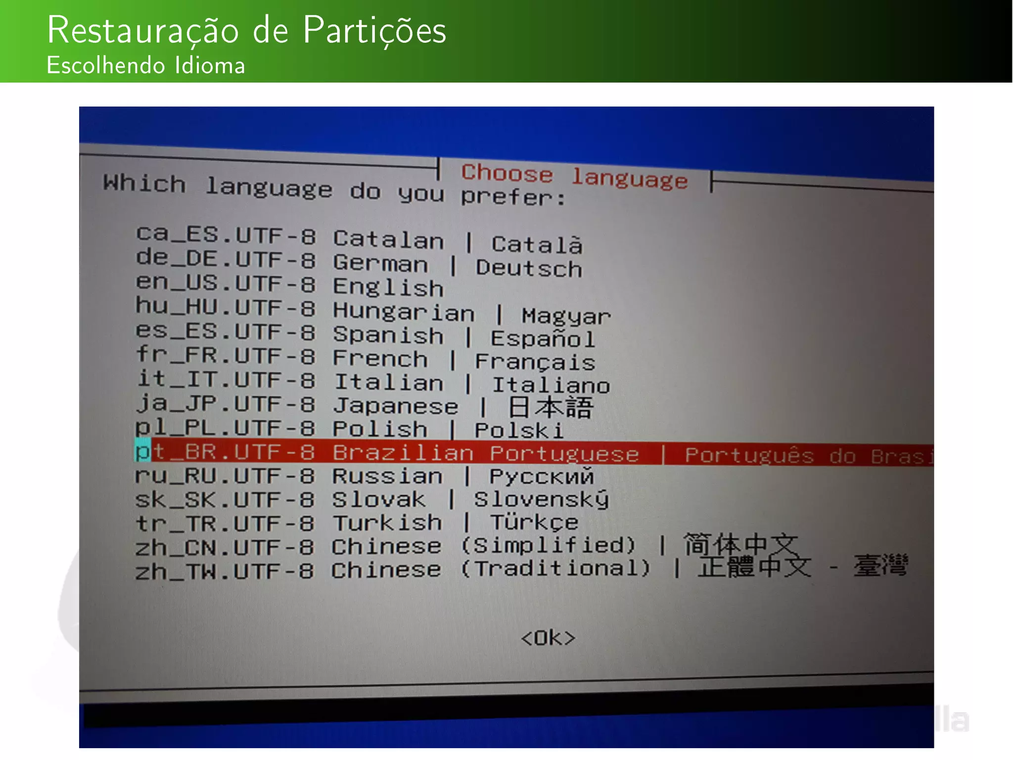 Restauração de Partições
Escolhendo Idioma
 