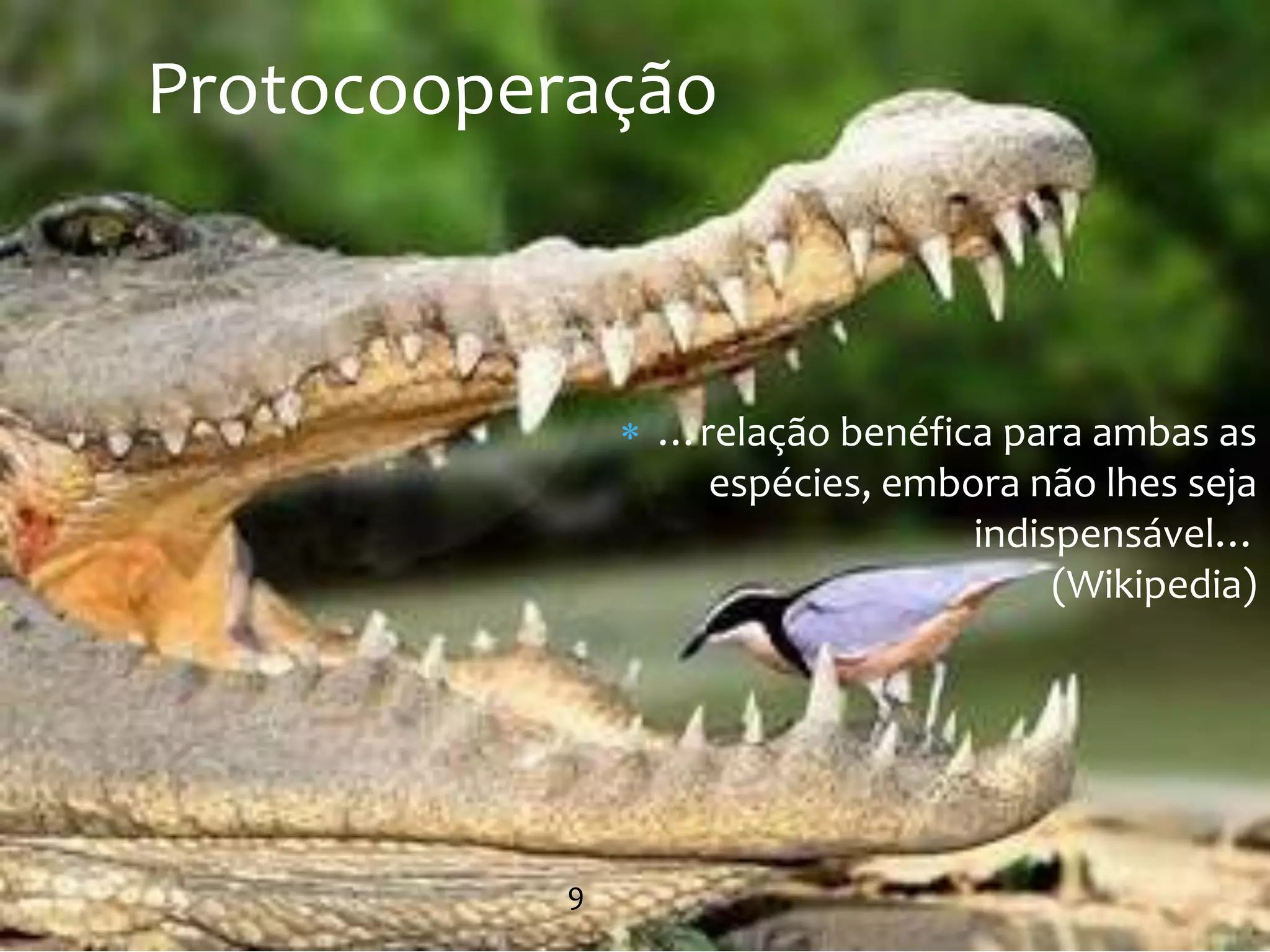 Protocooperação



               …relação benéfica para ambas as
                 espécies, embora não lhes seja
                               indispensável…
                                    (Wikipedia)




           9                       @LeoNaressi
 
