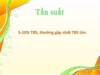 Tần suất
5-10% TBS, thường gặp nhất TBS tím
 
