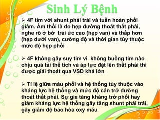 Sinh Lý Bệnh
 4F tím với shunt phải trái và tuần hoàn phổi
giảm. Âm thổi là do hẹp đường thoát thất phải,
nghe rõ ở bờ trái ức cao (hẹp van) và thấp hơn
(hẹp dưới van), cường độ và thời gian tùy thuộc
mức độ hẹp phổi
 4F không gây suy tim vì không buồng tim nào
chịu quá tải thể tích và áp lực đặt lên thất phải thì
được giải thoát qua VSD khá lớn
 Tỉ lệ giữa máu phổi và hệ thống tùy thuộc vào
kháng lực hệ thống và mức độ cản trở đường
thoát thất phải. Sự gia tăng kháng trở phổi hay
giảm kháng lực hệ thống gây tăng shunt phải trái,
gây giảm độ bão hòa oxy máu.
 