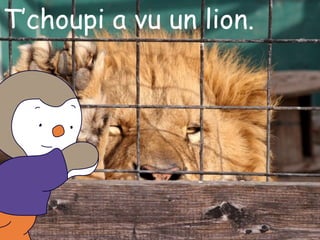 T’choupi a vu un lion.