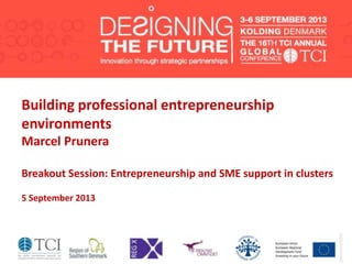 Building professional entrepreneurship
environments
Marcel Prunera
Breakout Session: Entrepreneurship and SME support in clusters
5 September 2013
 