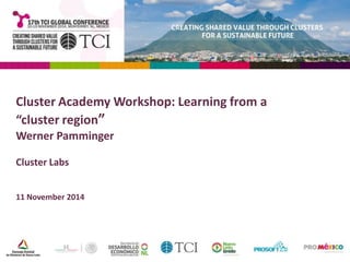 Cluster Academy Workshop: Learning from a 
“cluster region” 
Werner Pamminger 
Cluster Labs 
11 November 2014 
 