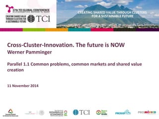 Cross-Cluster-Innovation. The future is NOW 
Werner Pamminger 
Parallel 1.1 Common problems, common markets and shared value 
creation 
11 November 2014 
 