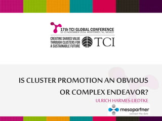 IS CLUSTER PROMOTION AN OBVIOUS 
OR COMPLEX ENDEAVOR? 
ULRICH HARMES-LIEDTKE 
 